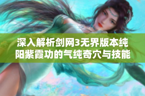 深入解析剑网3无界版本纯阳紫霞功的气纯奇穴与技能循环技巧