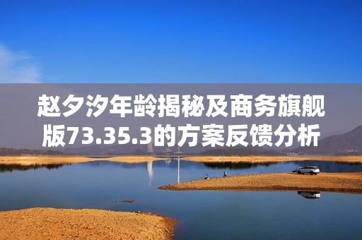 赵夕汐年龄揭秘及商务旗舰版73.35.3的方案反馈分析