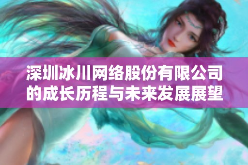 深圳冰川网络股份有限公司的成长历程与未来发展展望分析