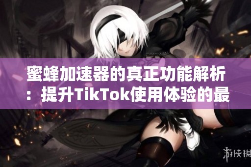 蜜蜂加速器的真正功能解析：提升TikTok使用体验的最佳选择