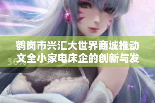 鹤岗市兴汇大世界商城推动文全小家电床企的创新与发展路径探讨