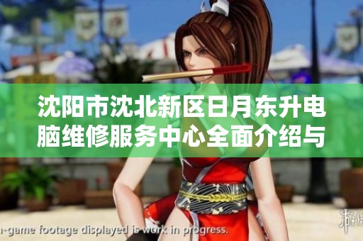 沈阳市沈北新区日月东升电脑维修服务中心全面介绍与发展动态