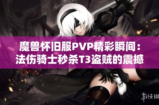 魔兽怀旧服PVP精彩瞬间：法伤骑士秒杀T3盗贼的震撼演示