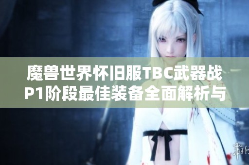 魔兽世界怀旧服TBC武器战P1阶段最佳装备全面解析与推荐