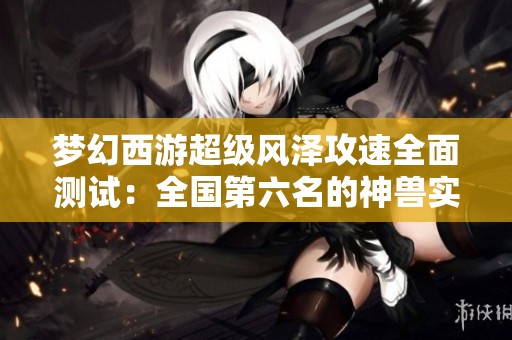 梦幻西游超级风泽攻速全面测试：全国第六名的神兽实力揭秘