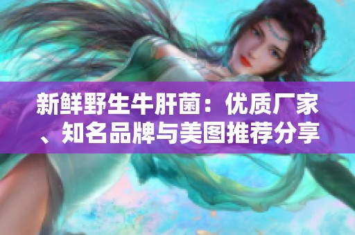 新鲜野生牛肝菌：优质厂家、知名品牌与美图推荐分享