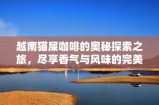 越南猫屎咖啡的奥秘探索之旅，尽享香气与风味的完美融合