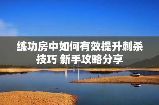 练功房中如何有效提升刺杀技巧 新手攻略分享