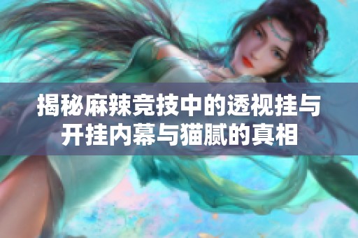 揭秘麻辣竞技中的透视挂与开挂内幕与猫腻的真相