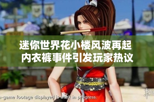 迷你世界花小楼风波再起 内衣裤事件引发玩家热议