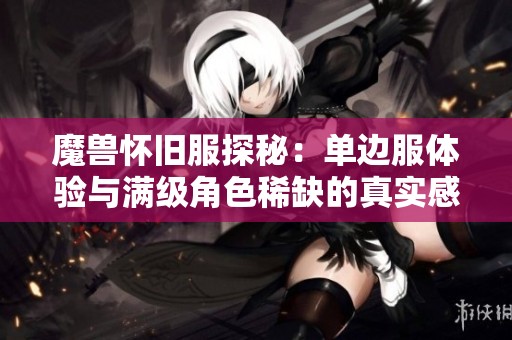 魔兽怀旧服探秘：单边服体验与满级角色稀缺的真实感受