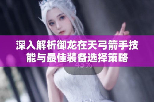 深入解析御龙在天弓箭手技能与最佳装备选择策略