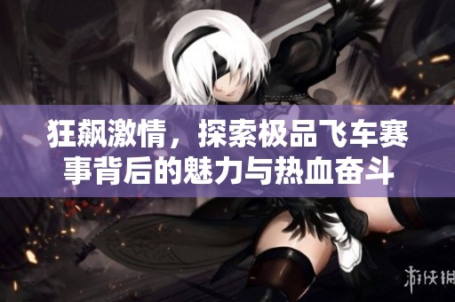 狂飙激情，探索极品飞车赛事背后的魅力与热血奋斗