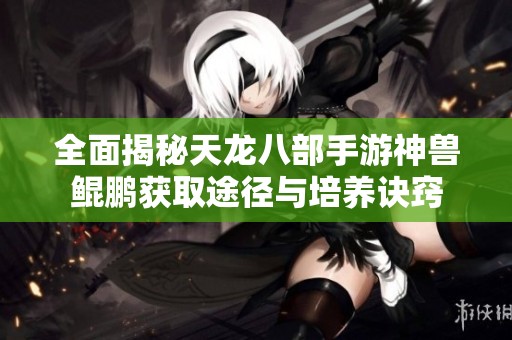 全面揭秘天龙八部手游神兽鲲鹏获取途径与培养诀窍
